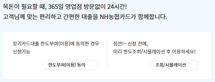 농협카드 장기대출 자격요건 한도 금리 총정리(2024년) 4