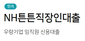 농협 직장인대출 NH튼튼직장인대출 자격, 조건 및 신청 방법 2