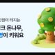 케이뱅크 돈나무 키우기, 앱테크로 10만원 행운 잡는 방법 총정리 12