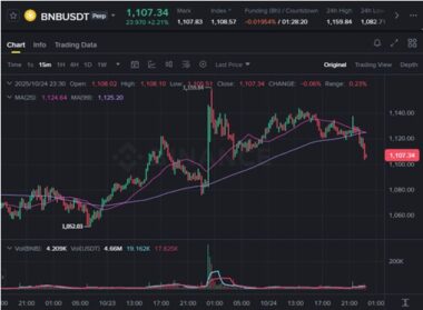 바이낸스 코인(BNB) 전망, 시세 분석, 호재 정리 (2025년 ~ 2050년) 73
