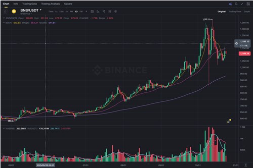 바이낸스 코인(BNB) 1000달러 돌파, 신화는 계속될까? 2025년 가격 전망 및 호재 총정리 14 바이낸스 코인(BNB) 1000달러 돌파, 신화는 계속될까? 2025년 가격 전망 및 호재 총정리 13