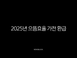2025년 으뜸효율 가전 환급 신청 방법 및 1등급 대상 품목 총정리 27