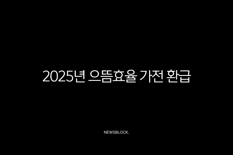 2025년 으뜸효율 가전 환급 신청 방법 및 1등급 대상 품목 총정리 10 2025년 으뜸효율 가전 환급 신청 방법 및 1등급 대상 품목 총정리 9
