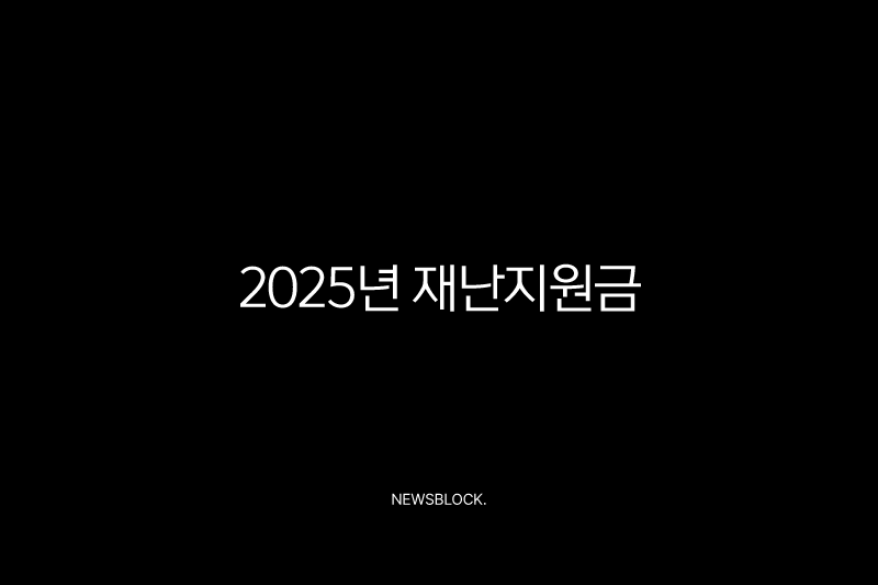 2025년 재난지원금 25만원 신청 총정리 민생회복 소비쿠폰 가이드 10 2025년 재난지원금 25만원 신청 총정리 민생회복 소비쿠폰 가이드 9