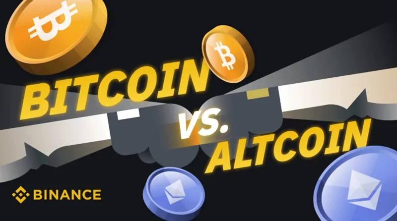 2025년 바이낸스 알트코인 투자 전략 : 유망 코인 분석 및 투자 가이드 13