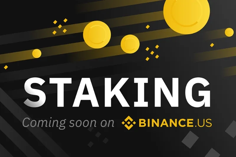 바이낸스 스테이킹 방법 - 완벽 정복! 수익률 극대화 비밀 공개(+ 초보자 필독) 19 바이낸스 스테이킹 방법 - 완벽 정복! 수익률 극대화 비밀 공개(+ 초보자 필독) 18