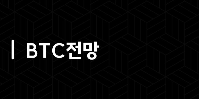 BTC전망