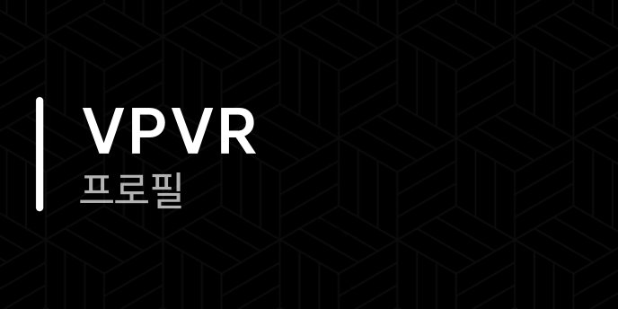 VPVR 프로필