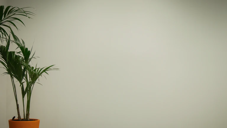 여러 화면에서 차트를 분석하는 사람