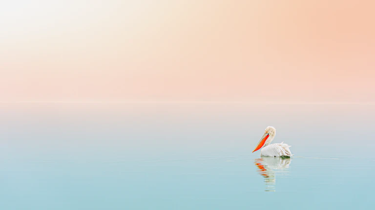 주식 차트 앞에서 명상하는 사람