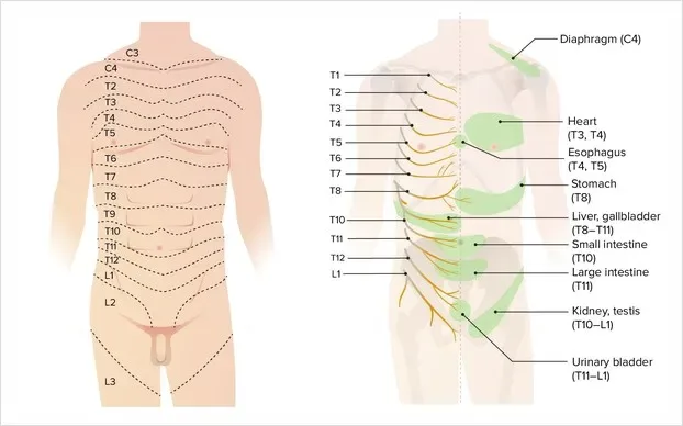오른쪽 아랫배 통증 원인과 병원 가야 하는 신호 정리 5