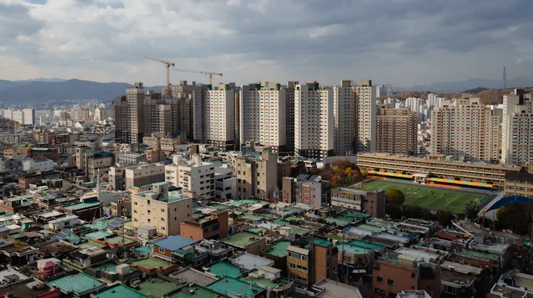 씨터넷 투자 전 꼭 알아야 할 핵심 정보와 리스크 분석 3 씨터넷 베이비시터 매칭 플랫폼