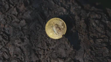 2026년 급등할 코인 투자 전망과 100만원으로 1억 만들기 실전 매매 기법 완벽 분석 25