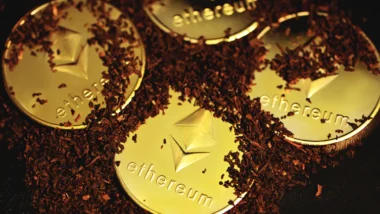 온체인 데이터로 다음 하락장 매수 시점 잡는 법 45