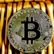 비트코인 ETF 옵션 기관 매집 데이터 분석으로 하락장 리스크 관리하는 법 15