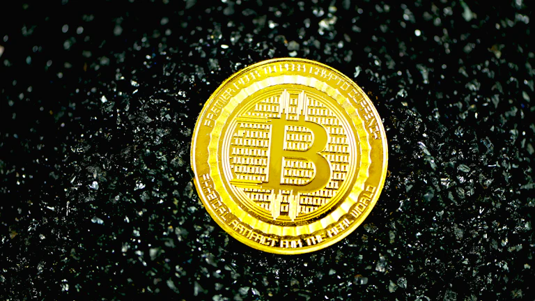 비트코인 고래 지갑 추적 데이터 시각화