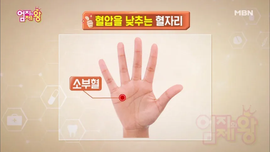 혈압 낮추는법 2026년 생활습관으로 잡는 현실적인 관리법 4 혈압 측정과 생활습관 관리 개념 이미지