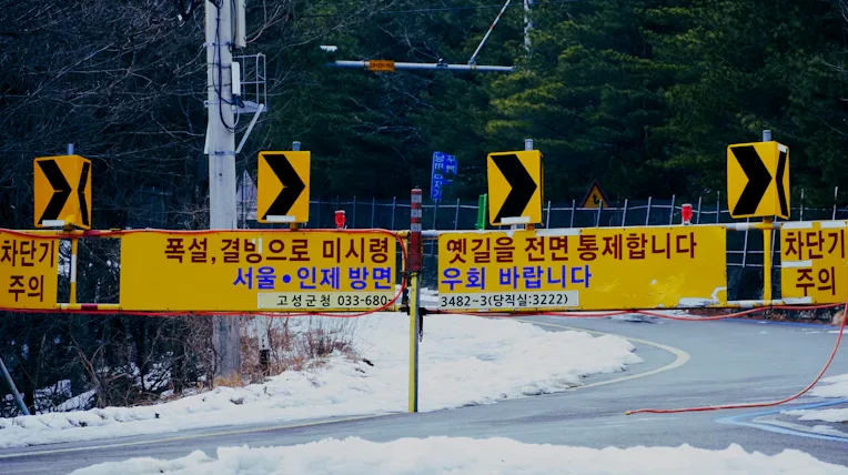 씨터넷 투자 전 꼭 알아야 할 핵심 정보와 리스크 분석 5 씨터넷 돌봄 안전 검증