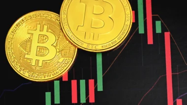 고래 청산 유동성 포착으로 역대급 폭락장 피하는 법 17