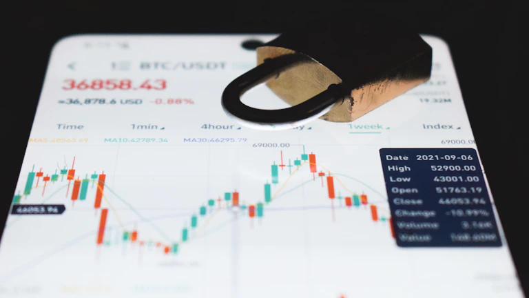 암호화폐 시장의 높은 변동성