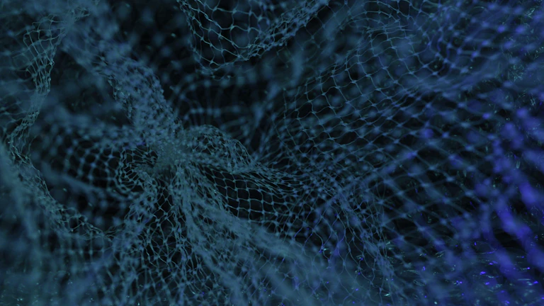 암호화폐 고래 거래 내역