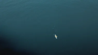 다음 펌핑 코인, 고래 지갑 움직임으로 미리 파악하기 13