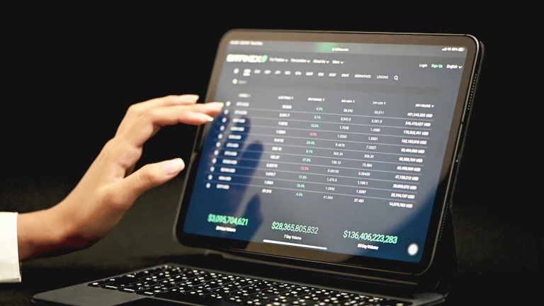 버블맵(Bubblemaps) 토큰 분배 집중도 확인, 투자 전 반드시 알아야 할 핵심 분석법 10 암호화폐 분석 도구의 모습