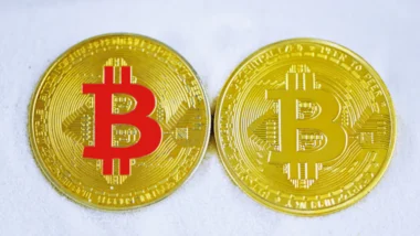 2026년 코인 불장 대비, 잃지 않는 고수익 포트폴리오 구축 전략, 투자 성공 비법 공개 29