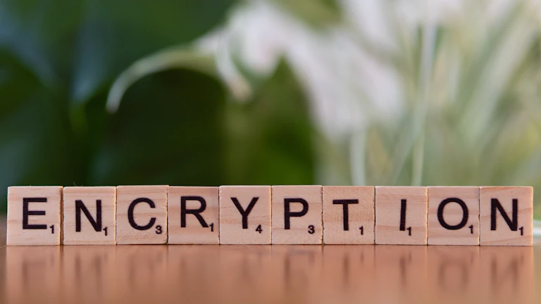 암호화폐 투자 위험을 분석하는 투자자