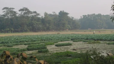 2026년 코인 투자, 월급 외 파이프라인 만드는 디파이(DeFi) 고수익 전략 총정리 21