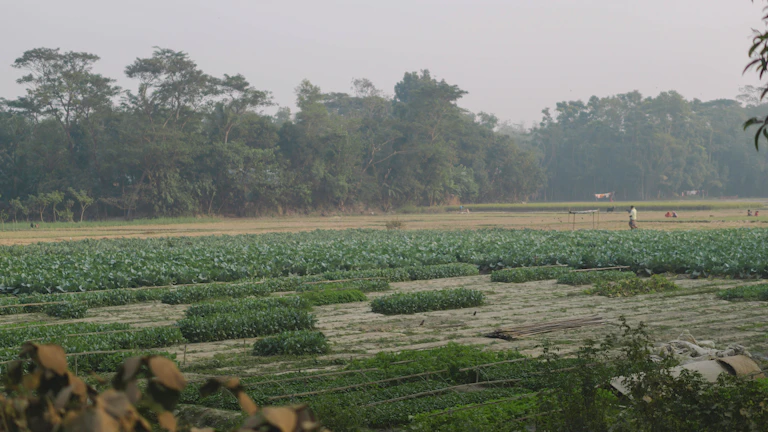 2026년 코인 투자, 월급 외 파이프라인 만드는 디파이(DeFi) 고수익 전략 총정리 9 디파이 일드 파밍 개념도와 수익 창출 과정