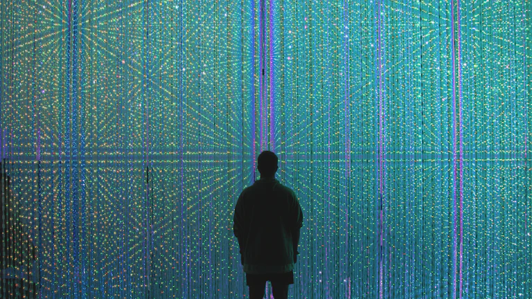 성장하는 디지털 자산 그래프