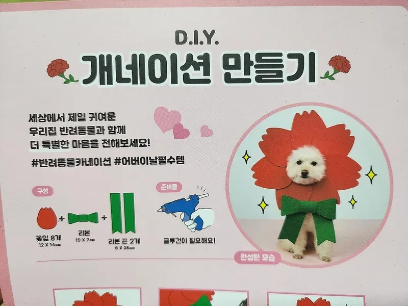 개네이션 뜻과 어버이날 반려견 사진 찍는 법 5