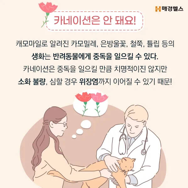 가족과 함께하는 어버이날 반려견 기념사진