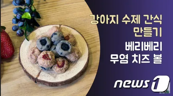 강아지 블루베리 먹어도 될까 급여량과 주의사항 정리 5 강아지 블루베리 알레르기 증상