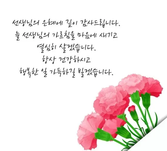 어버이날 감사인사 문구 모음 2026년 카톡부터 편지까지 3 어버이날 감사인사 메시지와 카네이션 카드 이미지