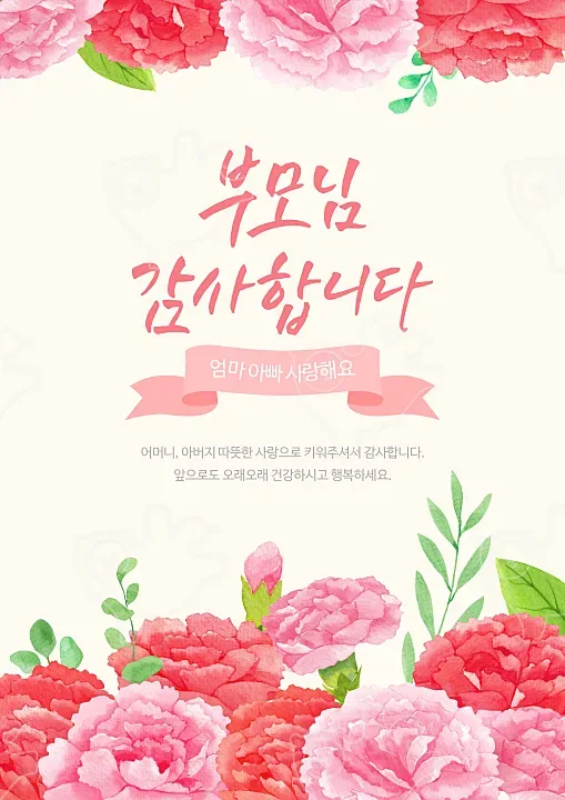 어버이날 감사인사 문구 모음 2026년 카톡부터 편지까지 4 손글씨 어버이날 편지와 카네이션