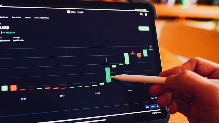 금융 시장 분석 차트를 보고 있는 사람