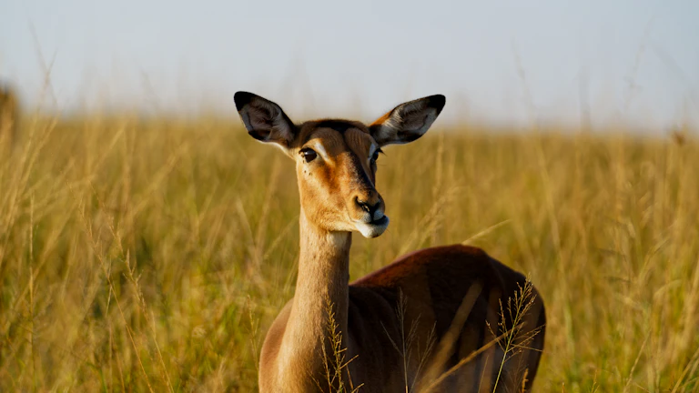 여러 모니터를 집중해서 보고 있는 트레이더
