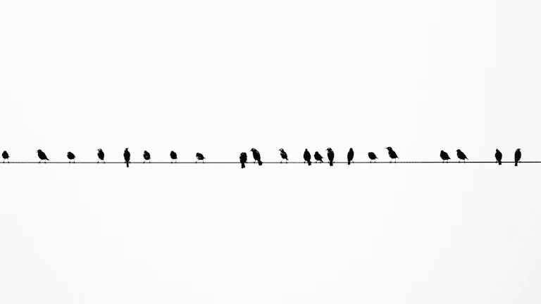 풋프린트 차트에서의 매수 불균형 발생 구간