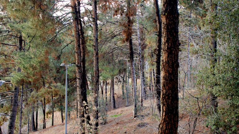 프레임(Frame) 지갑 데스크톱 보안 설정 완벽 가이드, 자산 지키는 필수 단계 9 wallet-desktop-setup - 프레임 지갑 데스크톱 설정 화면