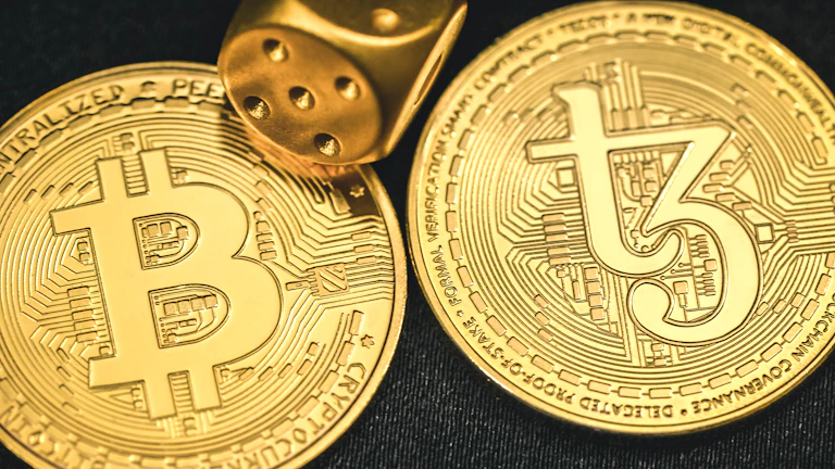 잭 도시 비트코인 라이트닝 네트워크, 블록(Block)의 결제 혁명과 실질적인 활용 가치 분석 9 전 세계 비트코인 채택 현황과 라이트닝 네트워크의 확산