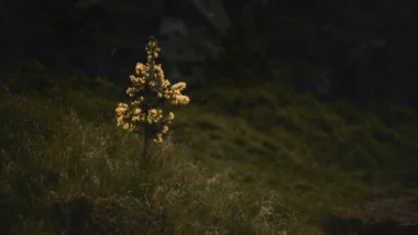 피보나치 되돌림 0.618 황금 비율, 투자 승률을 높이는 핵심 매매 전략 완벽 분석 36