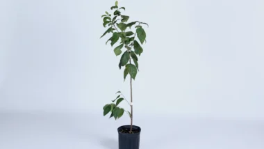 복리 매매 기법, 직장인 소액으로 월 500만원 만드는 실전 복리 매매 전략과 리스크 관리 7단계 (2026년 최신) 30