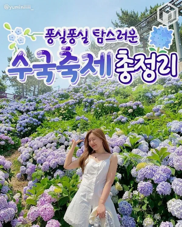 수국 색 변화와 개화 단계
