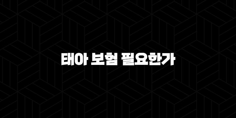 태아 보험 필요한가(+ 2025년 현명한 가입 가이드 - 임신 준비 필수템) 165