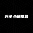 캐롯 손해보험 2025(+ 혁신적인 디지털 보험의 미래를 엿보다) 13