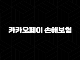 카카오페이 손해보험(+ 2025년 내게 맞는 보험 찾기 & 혜택 총정리) 25