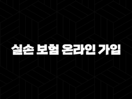 실손 보험 온라인 가입(+ 2025년 최신 정보와 현명한 선택 가이드) 37