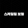 스케일링 보험(+ 2025년 혜택 완전 정복! 놓치면 후회할 정보) 13